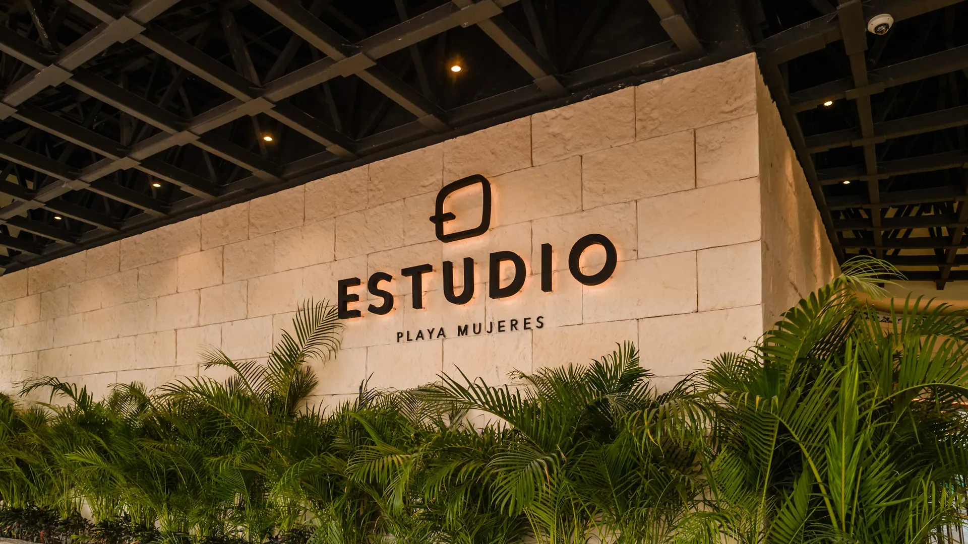 Estudio Playa Mujeres Cancun Mexico